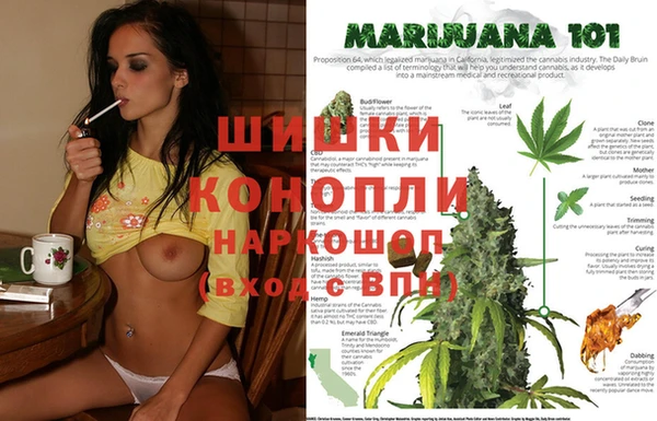 спайс Беломорск