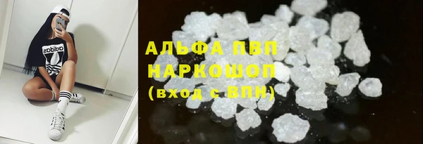 ECSTASY Белокуриха