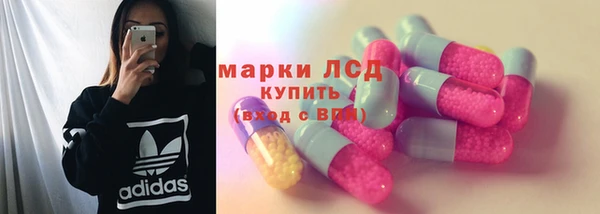 спайс Беломорск