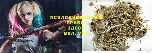 ECSTASY Белокуриха