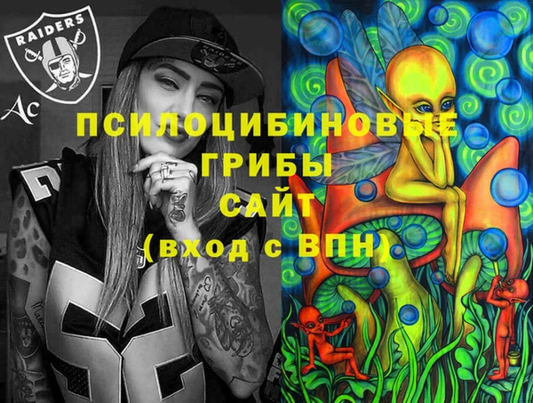 ECSTASY Белокуриха